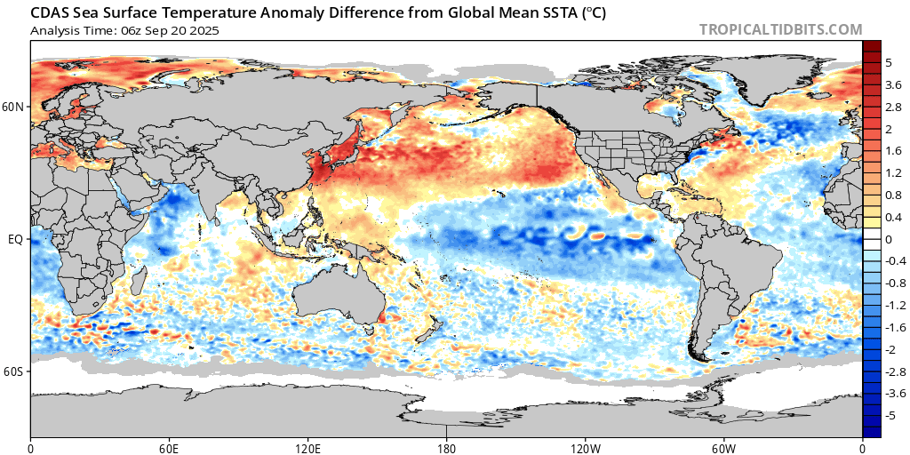 Brian Bledsoe 🐊 tweet media