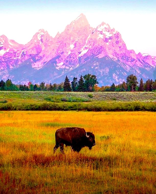 GM anon

It’s time to reclaim our National Parks!