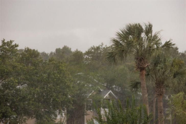FL Green Building (@flgreenbuilding) on Twitter photo Free Webinar: Mold Management in the Home, September 26, 6 - 6:30pm ET buff.ly/AKbia1n <a href="/UFSarasotaExt/">UF/IFAS Extension Sarasota County</a> #mold #health #home #homes #humidity #sustainability #dehumidification #builtenvironment #humidity #buildings #construction #buildingmaterials #free #greenbuilding Free Webinar: Mold Management in the Home, September 26, 6 - 6:30pm ET buff.ly/AKbia1n <a href="/UFSarasotaExt/">UF/IFAS Extension Sarasota County</a> #mold #health #home #homes #humidity #sustainability #dehumidification #builtenvironment #humidity #buildings #construction #buildingmaterials #free #greenbuilding