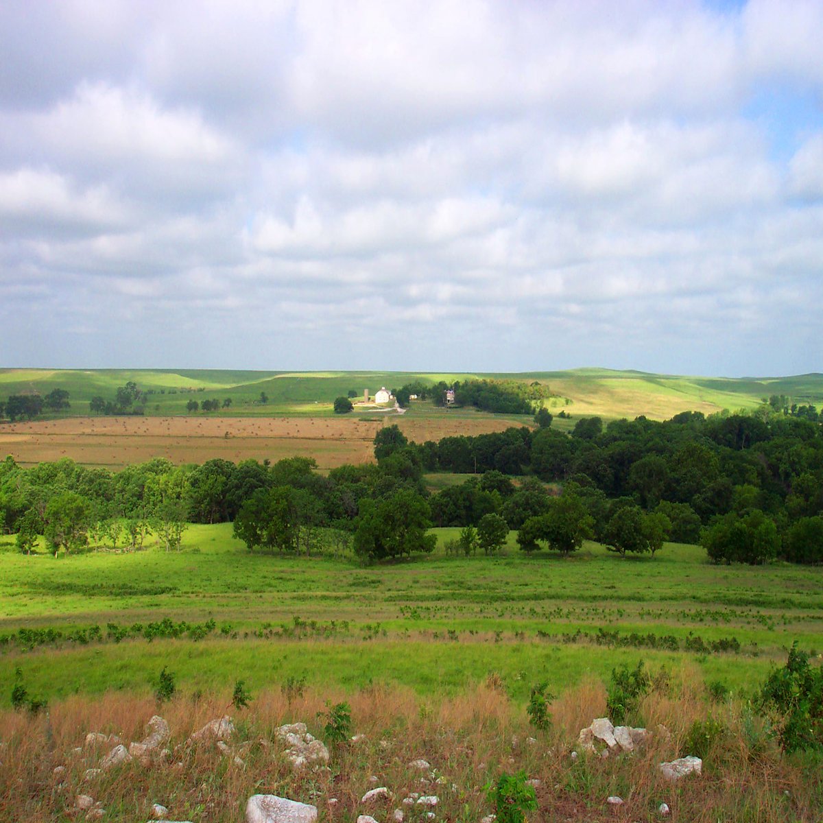 Become a Natural Resource Stewardship Volunteer at Tallgrass Prairie National Preserve!
Perform data collection on invasive 🪴 plants through doing surveys.

Learn more and apply now ➡️ volunteer.gov/s/volunteer-op…

📸 NPS 

#FindYourPark #EncuentraTuParque #NPSVolunteers