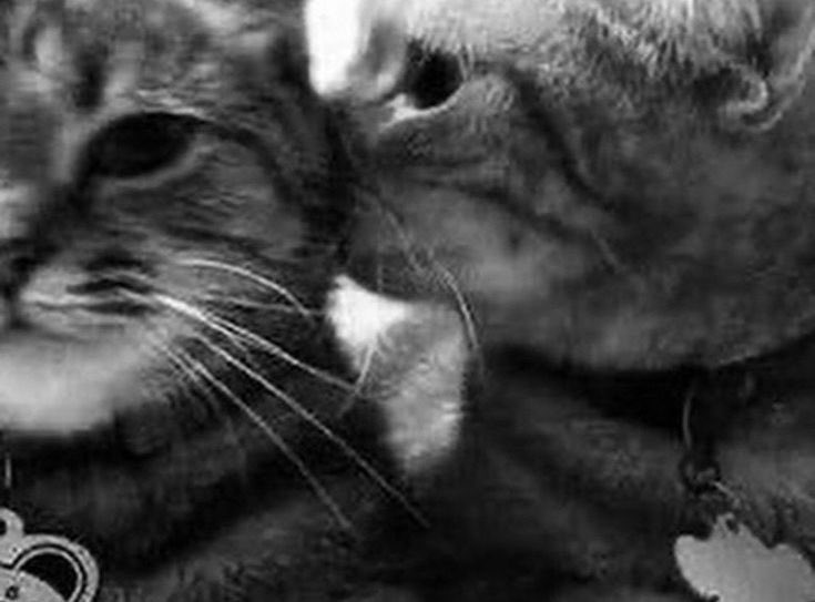 Day (@darkeloji) on Twitter photo 