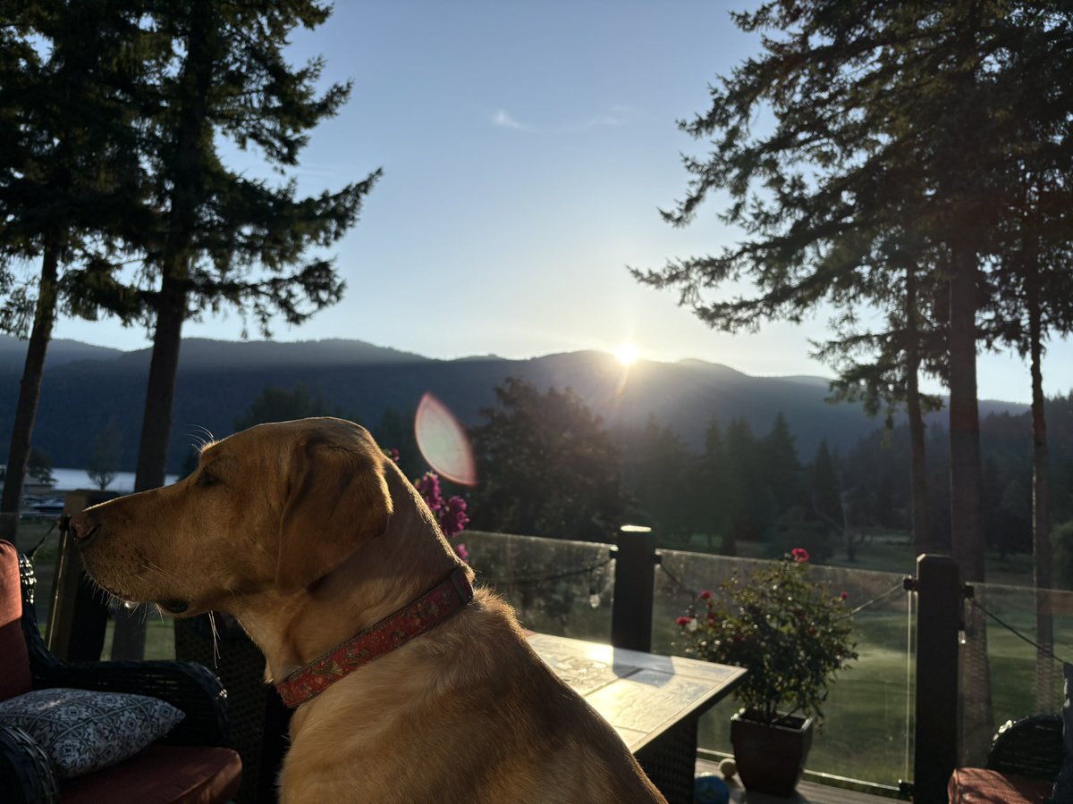 What a morning!  Cant wait to tee it <a href="/SudVal_golf/">Sudden Valley G&CC</a> !!