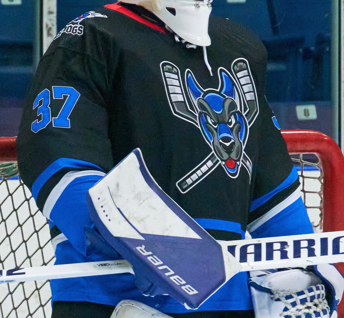 Ice Dogs Hockey Club 🏳️‍🌈🐕🏳️‍⚧️ tweet media