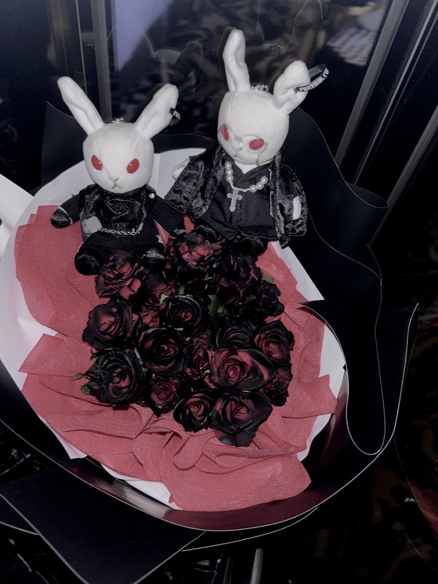 ︎ ︎ ︎ ︎ ︎ ︎ ︎ ︎ ︎ ︎ ︎ ︎𝐇𝐀𝐏𝐏𝐘 𝐃𝐄𝐕𝐈𝐋’𝐒 𝐃𝐀𝐘