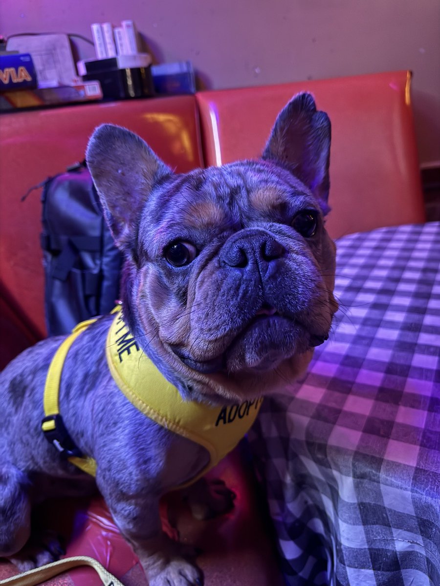 Matthew Wollenweber tweet media