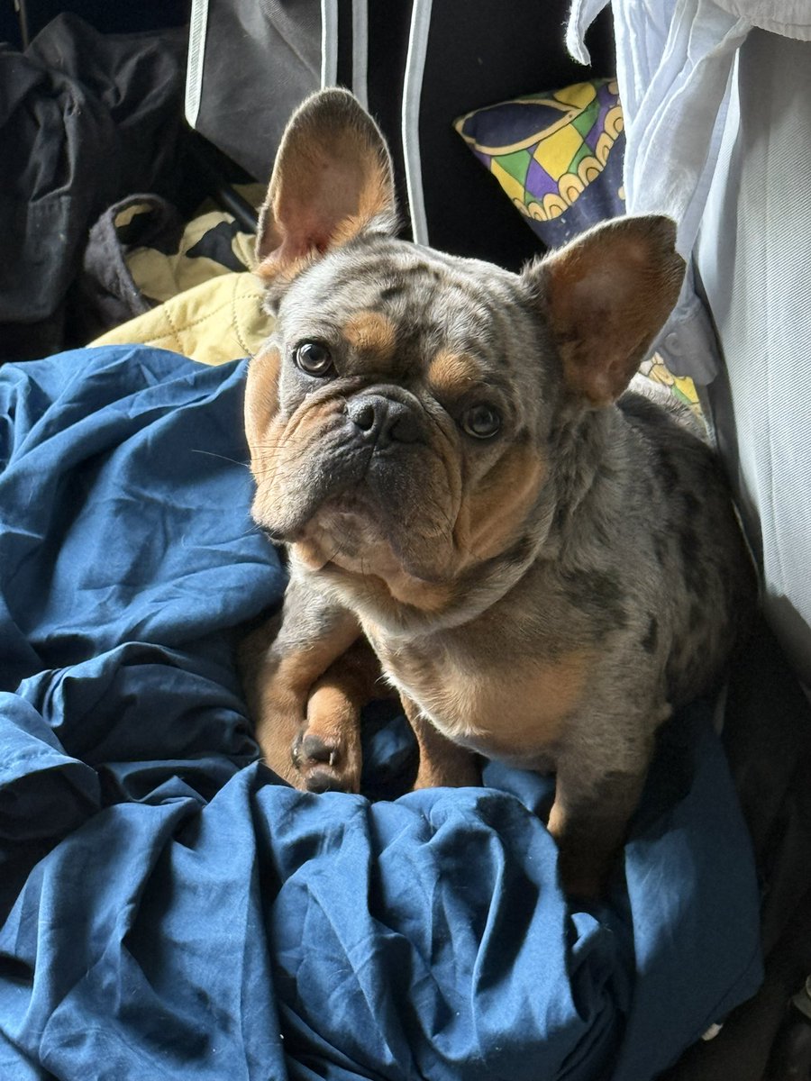 Matthew Wollenweber tweet media