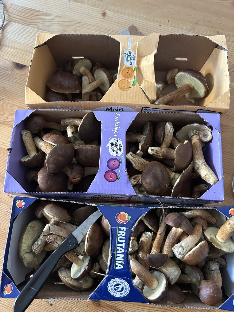 Digitaler Chronist ✏️ tweet media