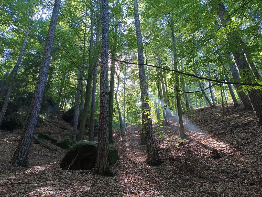 RadomirJac's tweet photo. Sobotní toulky Českým rájem.
Zbirohy.

Krajina mých dětských prázdnin a teenagerovských výšlapů - a stále si i po té době zachovává formu :))

Pokud možno pohodový víkend všem, ať východ, západ, sever, jih!

#RadostiŽivota #Getaway #ČeskýRáj https://t.co/lpekVIdeu0