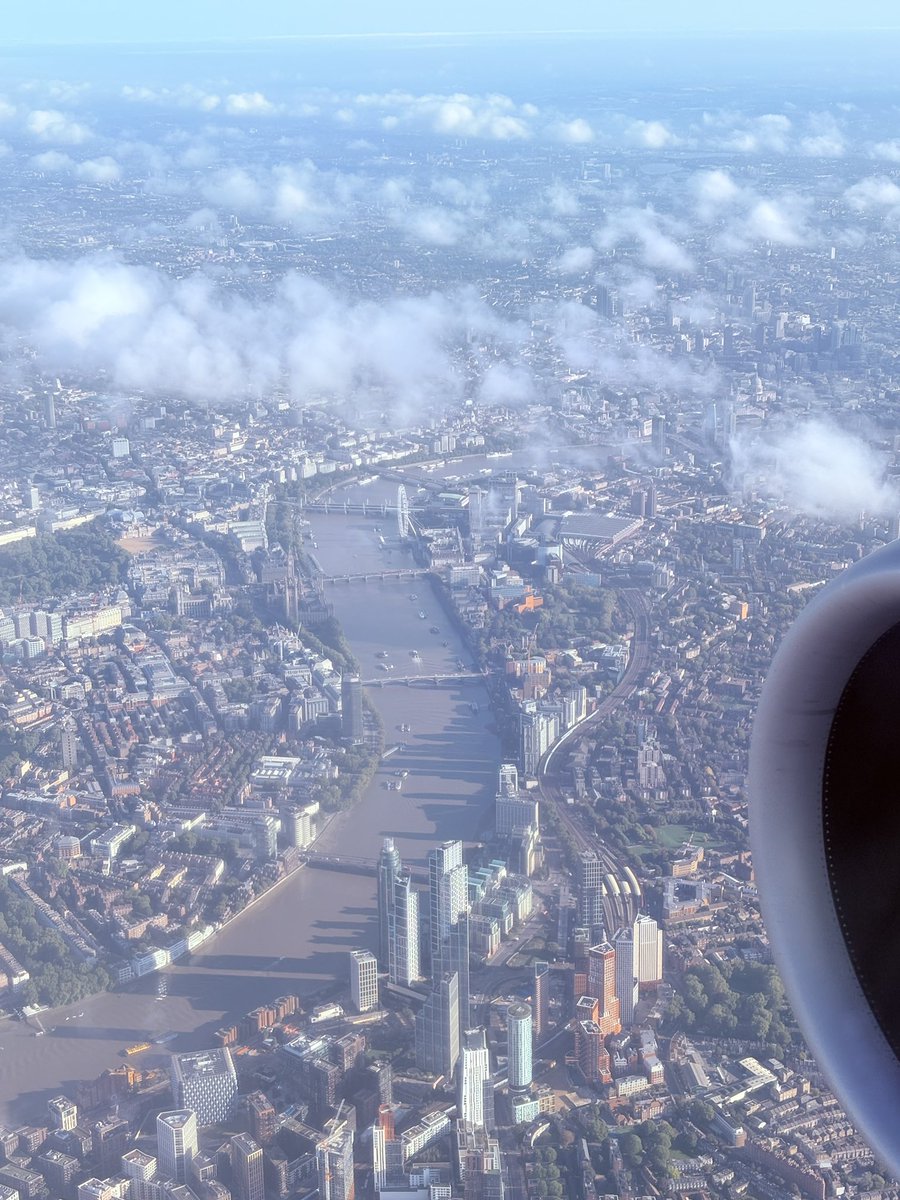 Demoiselle Du Ciel tweet media