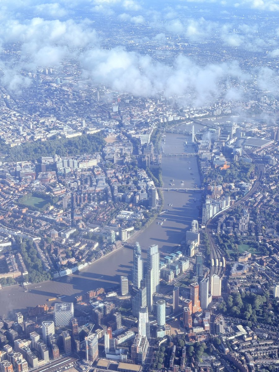 Demoiselle Du Ciel tweet media