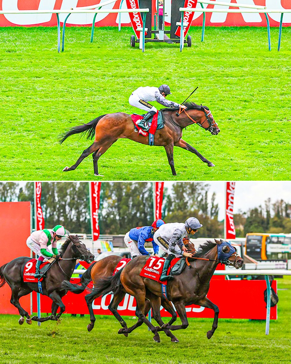 ∙ Candy 🥇 
∙ Run Boy Run 🥇

Trainer Richard Spencer, owner Phil Cunningham and jockey George Wood completed a 116-1 Silver Cup-Gold Cup double 😲👏