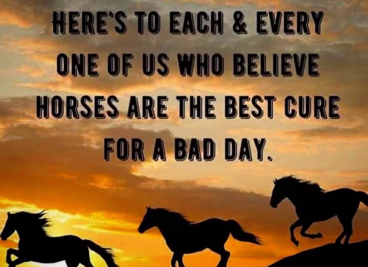 Statelinetack.com (@statelinetack) on Twitter photo 