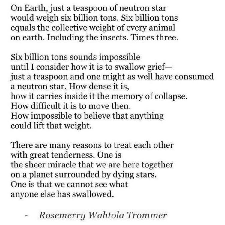 Gm gm!! It’s caturday!