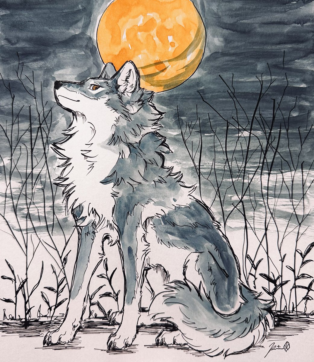 色紙

#wolfarium 
#WAWOOM