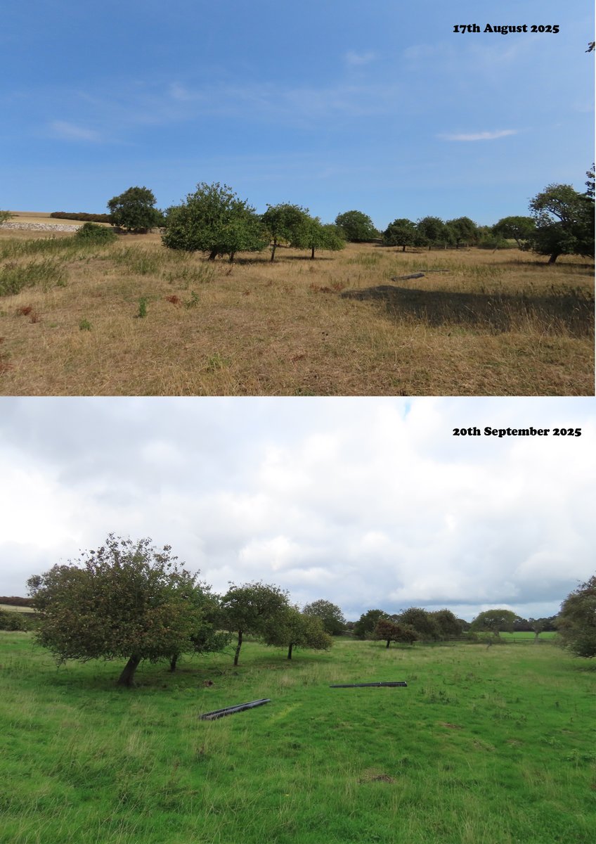 ClaireMears90's tweet photo. The rain in September has certaintly made a difference here in North Somerset, Visited Woodspring Priory a month ago where the ground was dry and crunchy. Today, very wet thick grass :D #loveukweather @metoffice https://t.co/SYhn7YuHO6