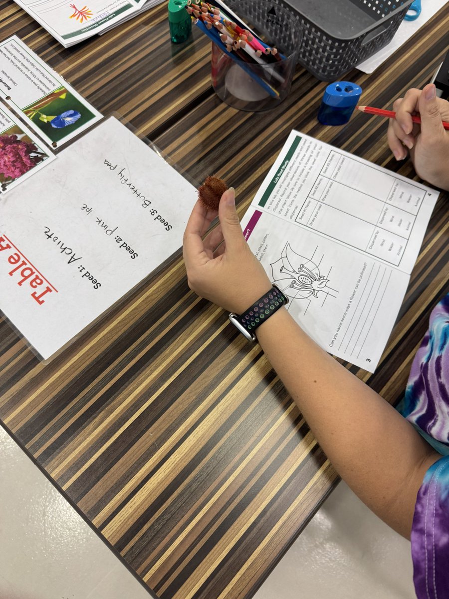 Field trip specialist training at <a href="/NaplesBotanical/">Naples Botanical Garden</a> Teachers practice flower dissection lab, seed dispersal lab, and observing pollinators and native plant species. Beautiful day with amazing 4th grade teachers. <a href="/collierschools/">Collier County Public Schools</a>