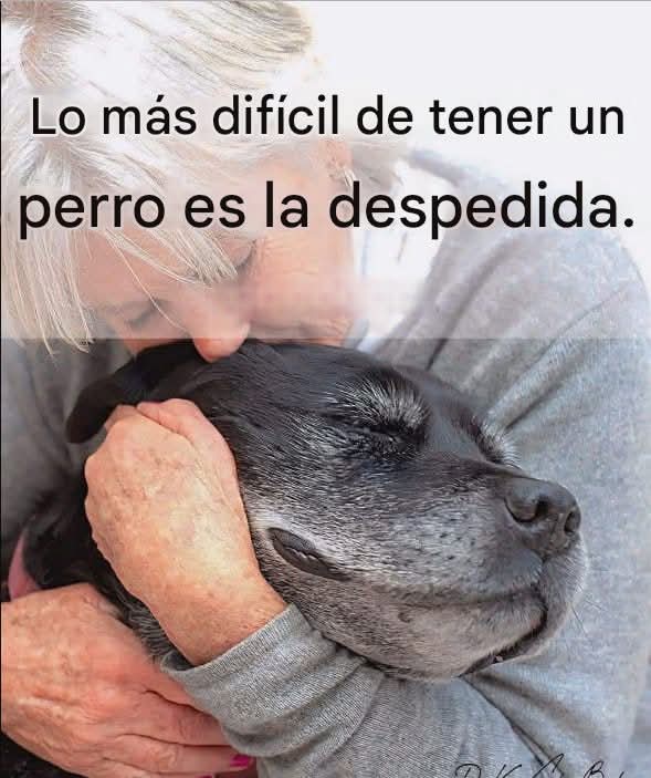 Duele y mucho