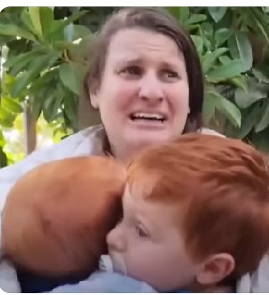 Oberland.bernois tweet media