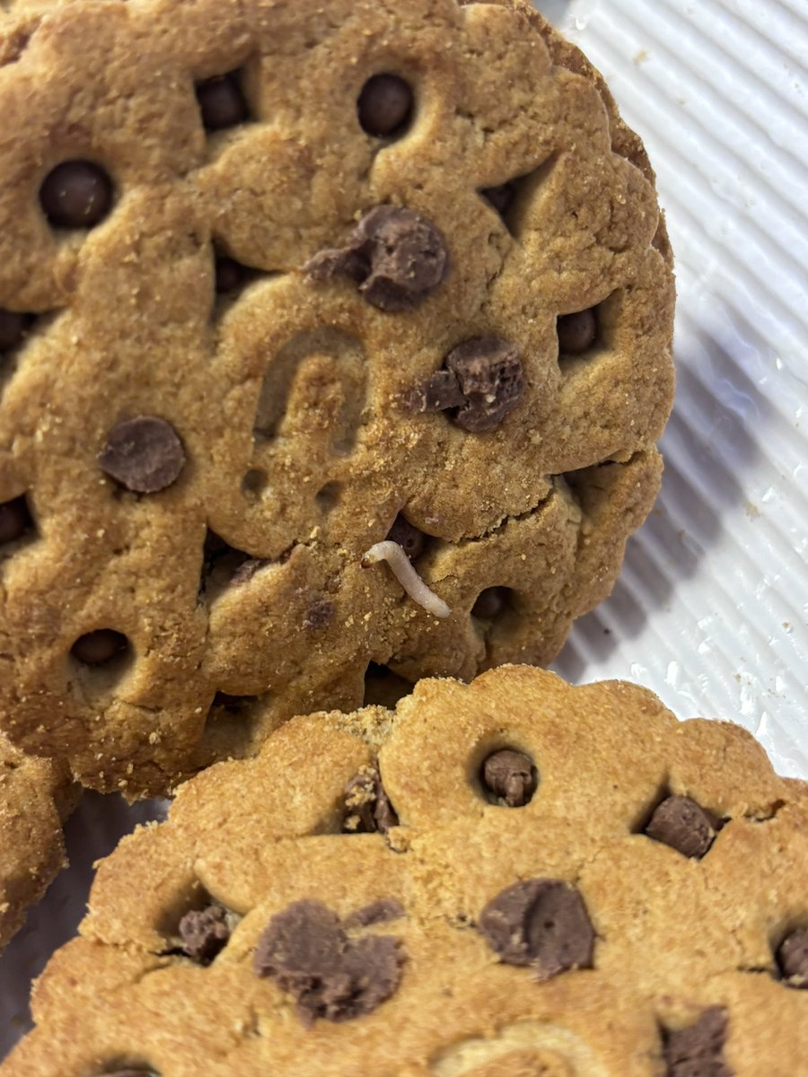 Proteinli bisküvi olarak pazarlanan ürünün içinden bol proteinli kurt çıktı.