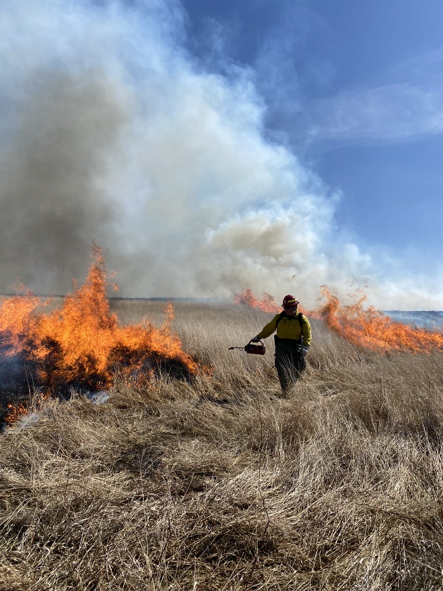 USFWSFire's tweet image. We are #hiring wildland fire apprentices!!! We have 10 #firejob opportunities in GA, ND, MN, WA, AK, &amp;amp; OR. 

Apply by September 30 --&amp;gt; bit.ly/3Igz2DA 

#NotYourOrdinaryJob @USFWSCareers