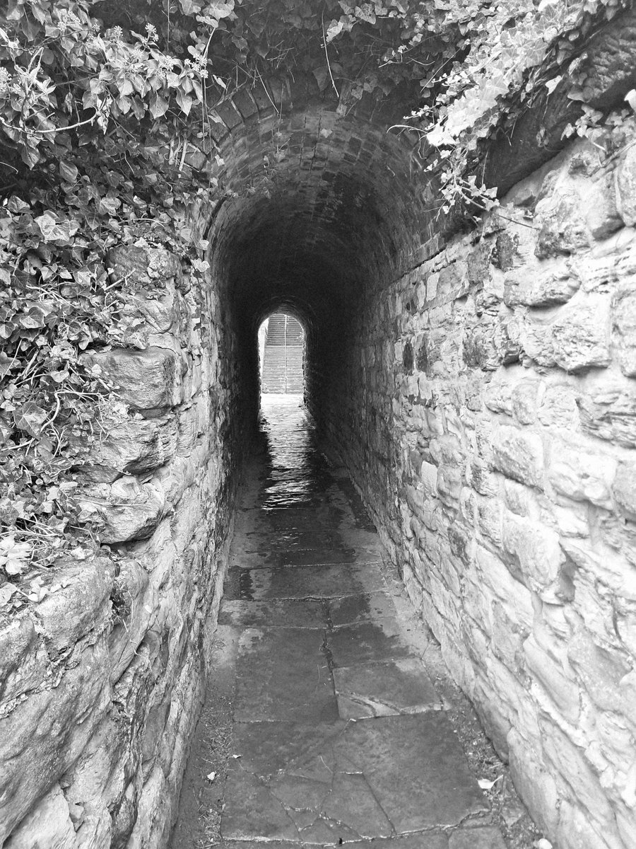 RyeJames8's tweet photo. The screaming tunnel in Whitby and a couple more from today! https://t.co/P3mXsslpzU