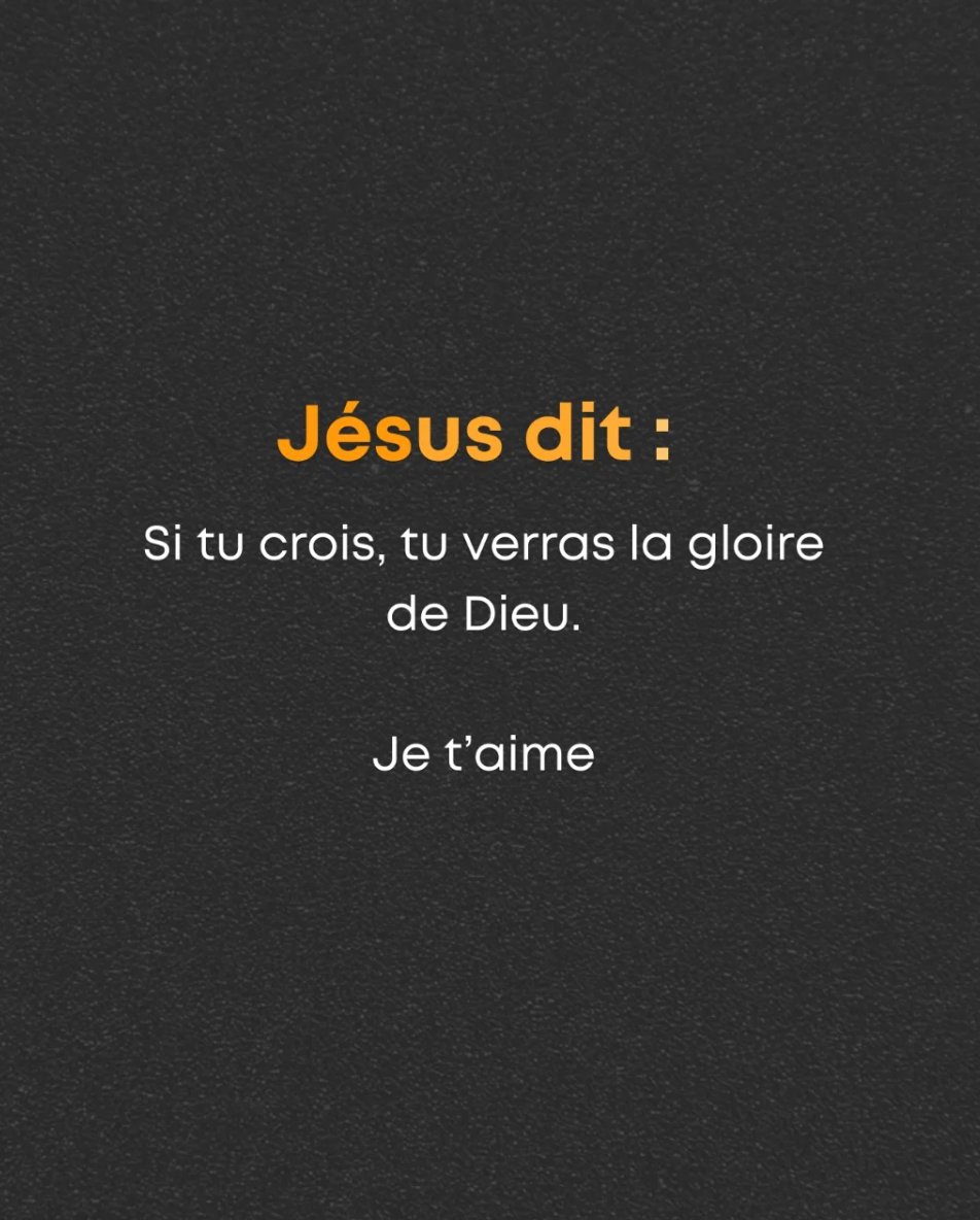 LaBiblesurlenet's tweet image. 