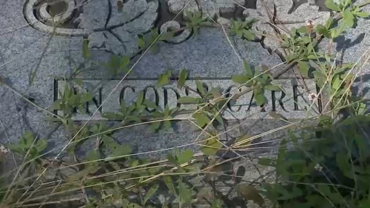 KashaInsurance's tweet photo. Trees that fell at Oak Park Cemetery during Hurricane Beryl are still there a year later, and some are on top of tombstones. The debris is so severe that it's even hard to read the names of those laid to rest. https://t.co/qQjCyHOXQW https://t.co/KxqpBJ18zf