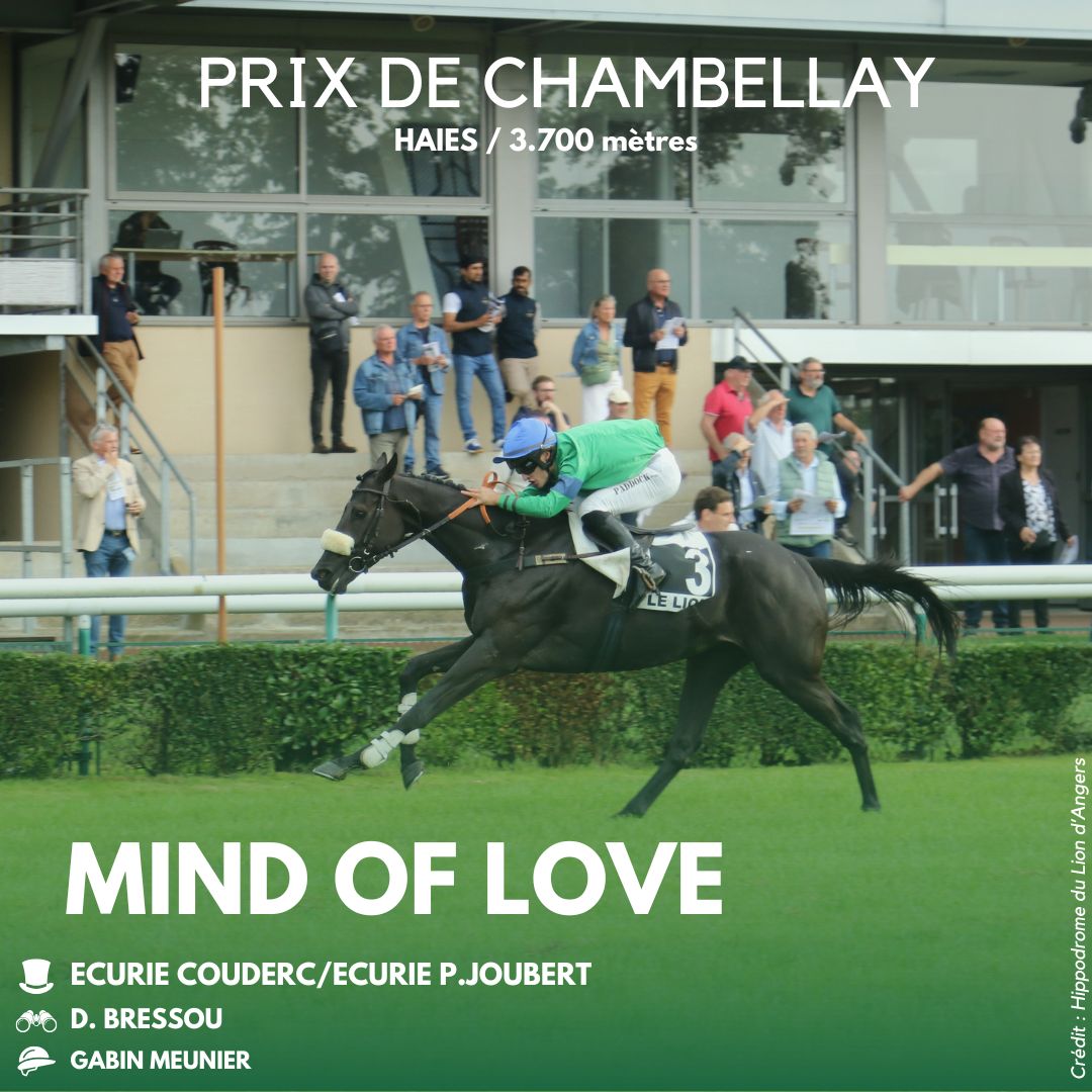 Hippodrome du Lion d’Angers tweet media