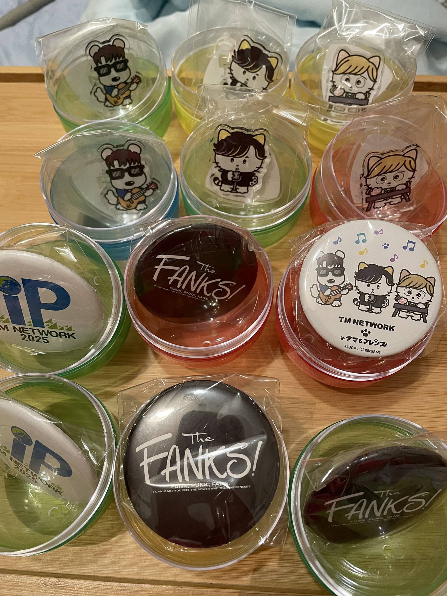 TM NETWORK カプセルトイ タマキャラクター3種コンプ TM NETWORK 2025 IP』第二弾情報 TM NETWORK×タマ＆フレンズ 初