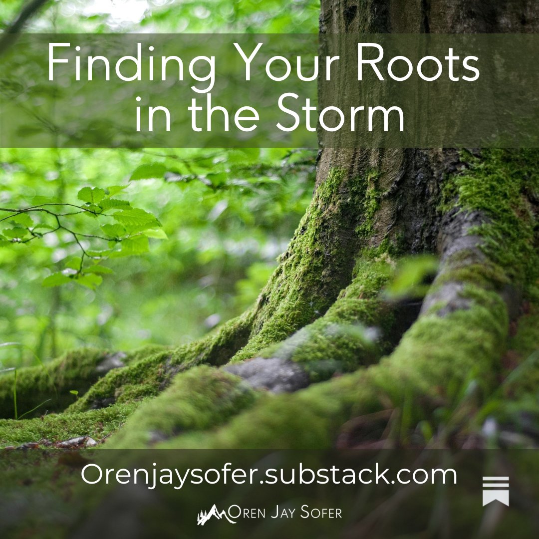 Oren Jay Sofer tweet media