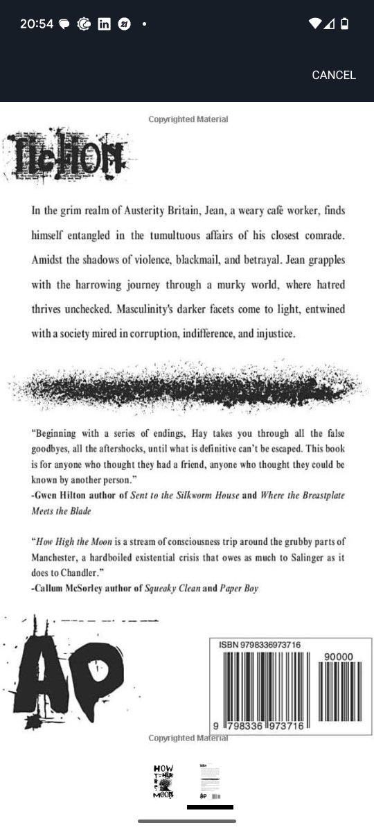 Would anyone be interested in reviewing my novel How High the Moon? Trying to get it a bit more exposure