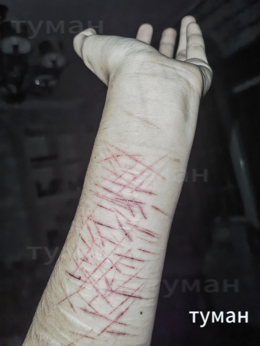 maichongsheng's tweet image. 