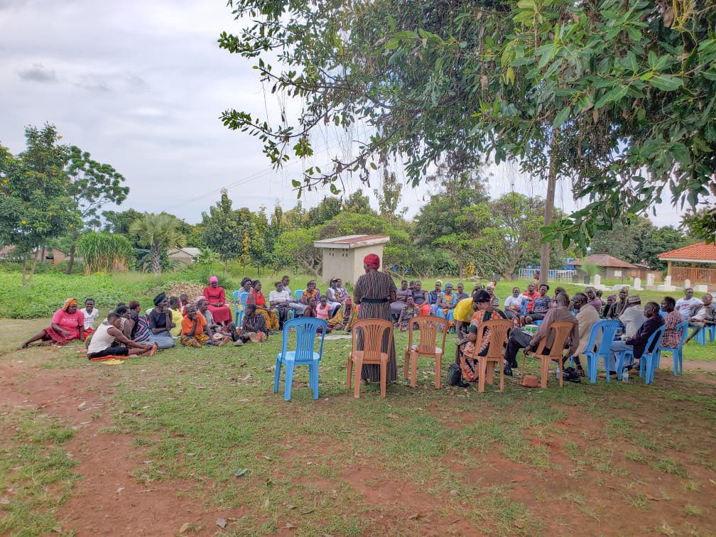 Feni Rogers tweet media