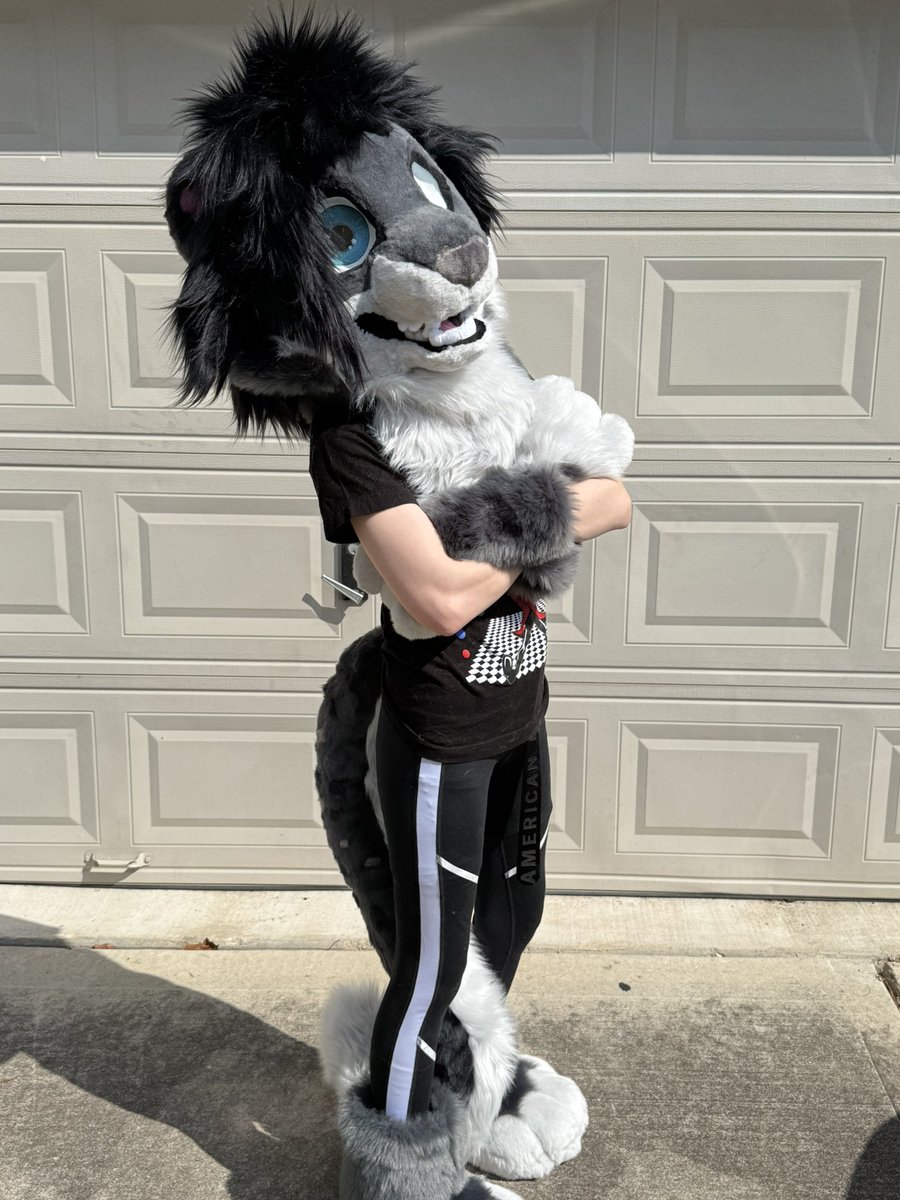 DeterminStudios's tweet photo. Chase the snow Leopard is complete and ready to go home! This guy has a full head of long fluffy emo boy hair each cutt out and sewn in individually to make this fun hair do! 

With Velcro tongues and eyelids he has a lot of personality to share with the world. https://t.co/oepXxWtwkn