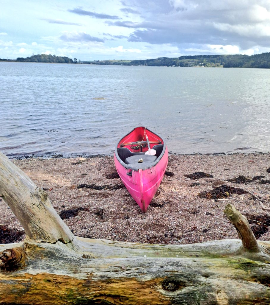 Cian McCarthy tweet media