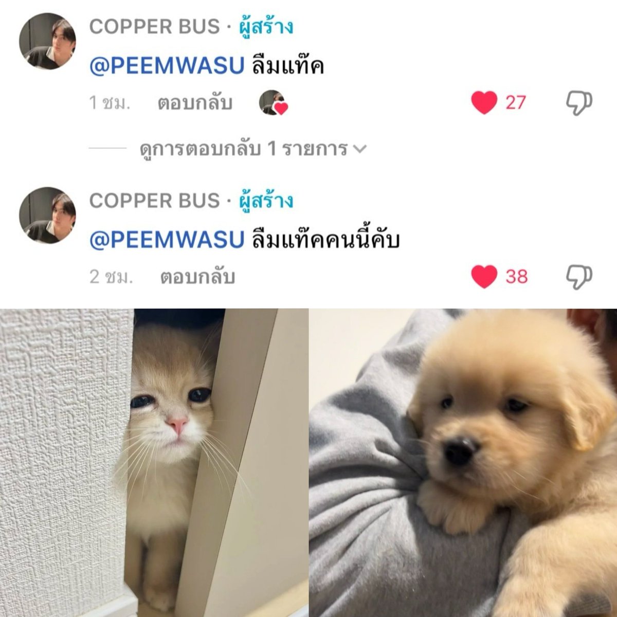 มาง้ออ่ะ 🥺