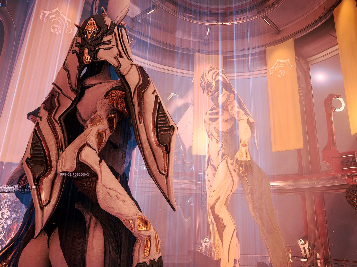 I got to give my first blessing yesterday :3
Look at me loomin' all threatening-like
#warframe