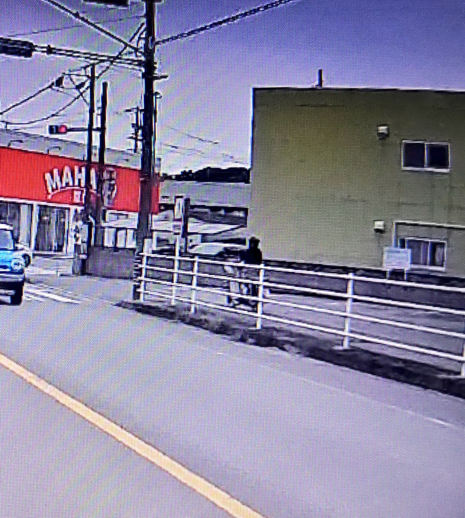 bakusai_hodo's tweet photo. 【危険】歩道を猛スピードで走行するバイカスさんが出現！

動画投稿者によると、目撃から約3分後にも歩道を走るバイクを再び見たとのこと。

これは絶対アウトでしょ！免許取り上げてほしい！
※該当シーンは0:09~
#バイカス #交通違反
https://t.co/APDR6p0l0V
