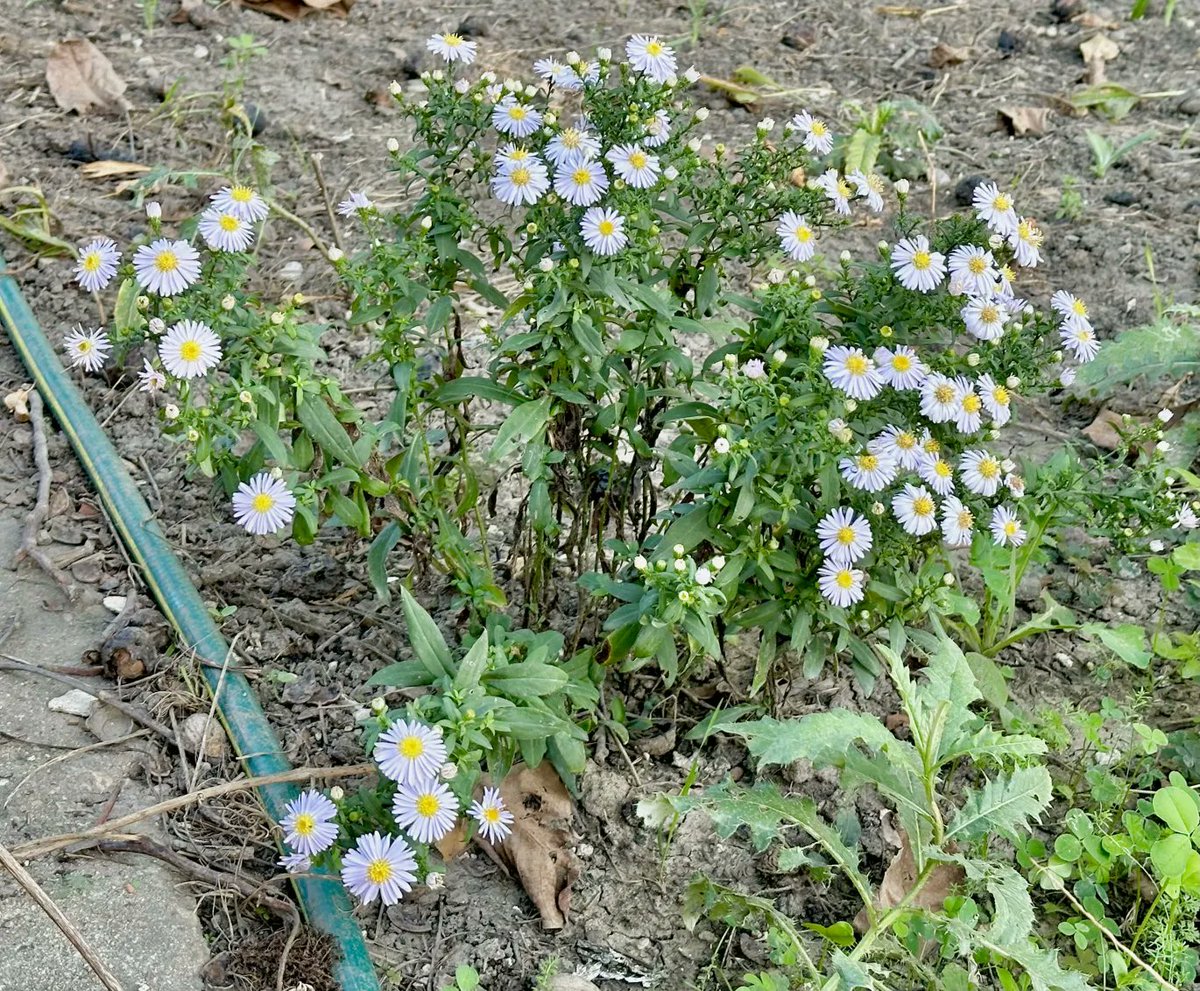 Kristóf Lovas (@kristoflovasnew) on Twitter photo 