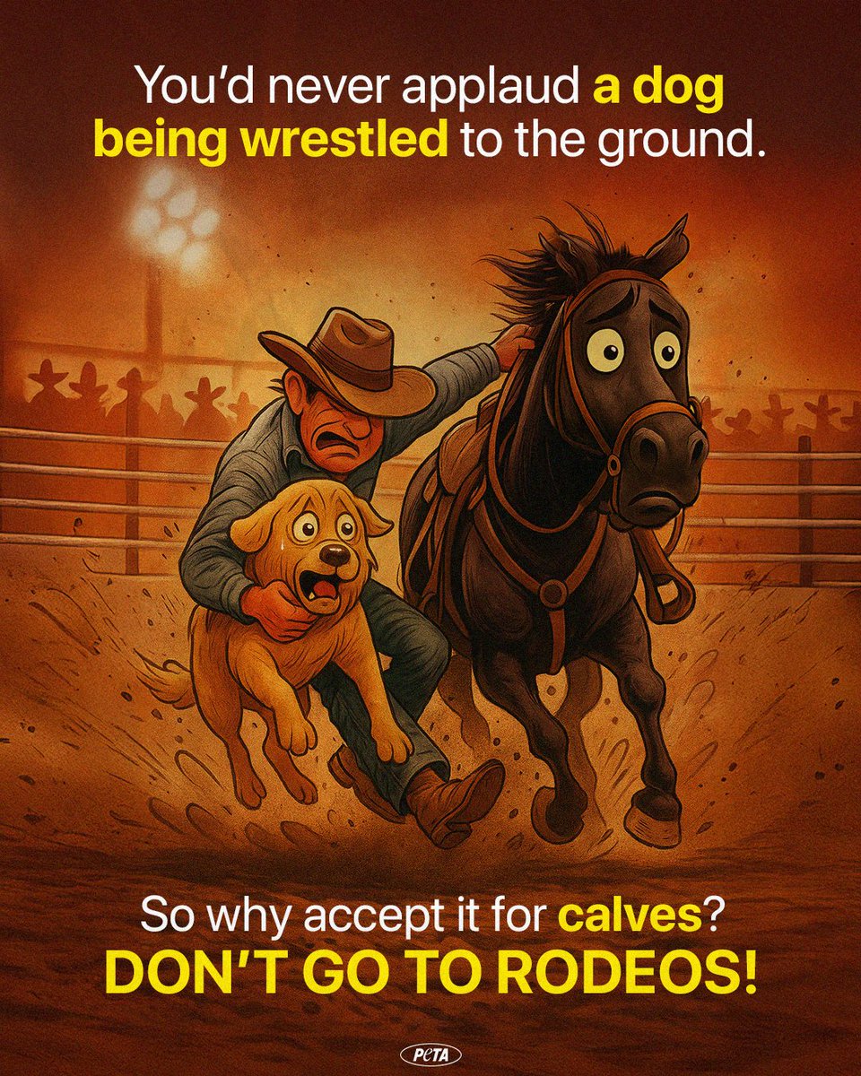 Trends come and go, but imagine if the “rodeo aesthetic” meant chasing and slamming dogs to the ground. Celebs may try to glamorize rodeos, but cruelty will never be cool.