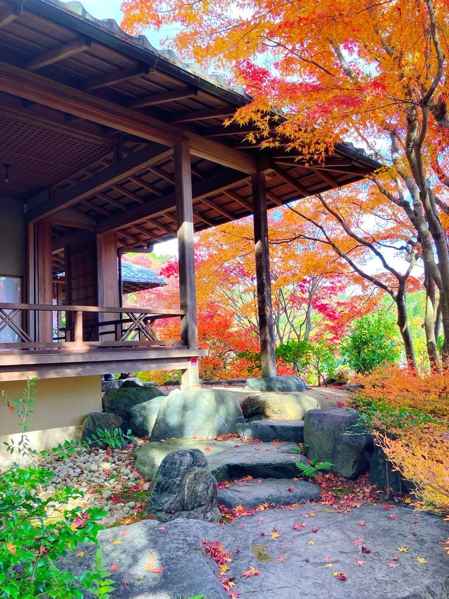 The_Stone_Oishi's tweet photo. ✨A special view beside #thestone 🍁
The colors of the season and quiet mountains clear your heart.
Make a wish here, and feel embraced by nature 🙏

#Sagano #Kyoto #JapanTravel #autumn https://t.co/qnILcfSbac