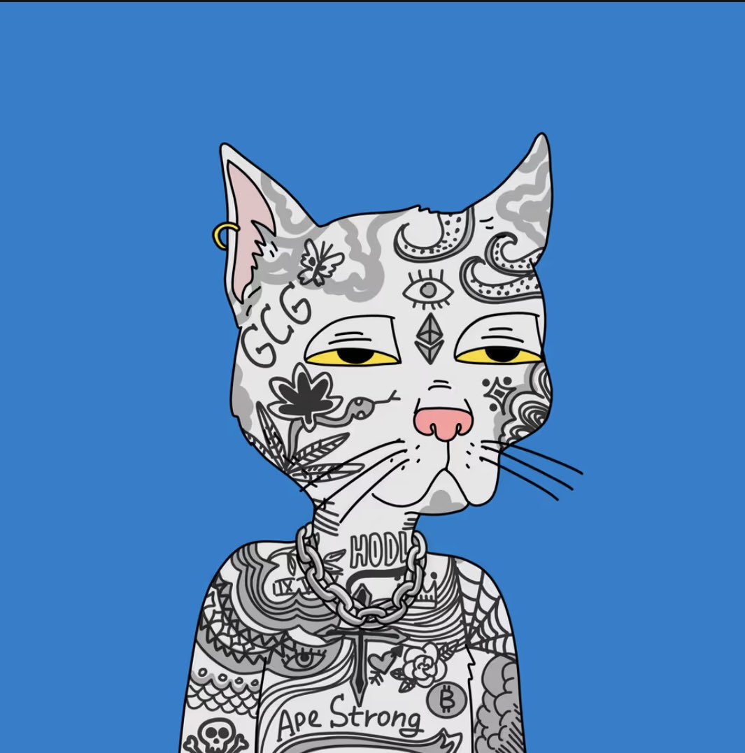 If you’re an OG in JPEG land then at some point you owned a Gutter Cat. #CATURDAY 

GANG GANG‼️
<a href="/GutterCatGang/">Gutter Cat Gang</a> #NFT