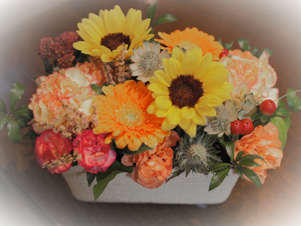 ひと雨ごとに季節が変わっていく。
あれからもう。
49日も経ったなんて。
信じられないよ。