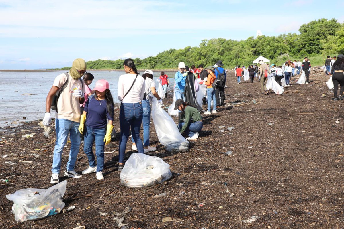 telebunker tweet media