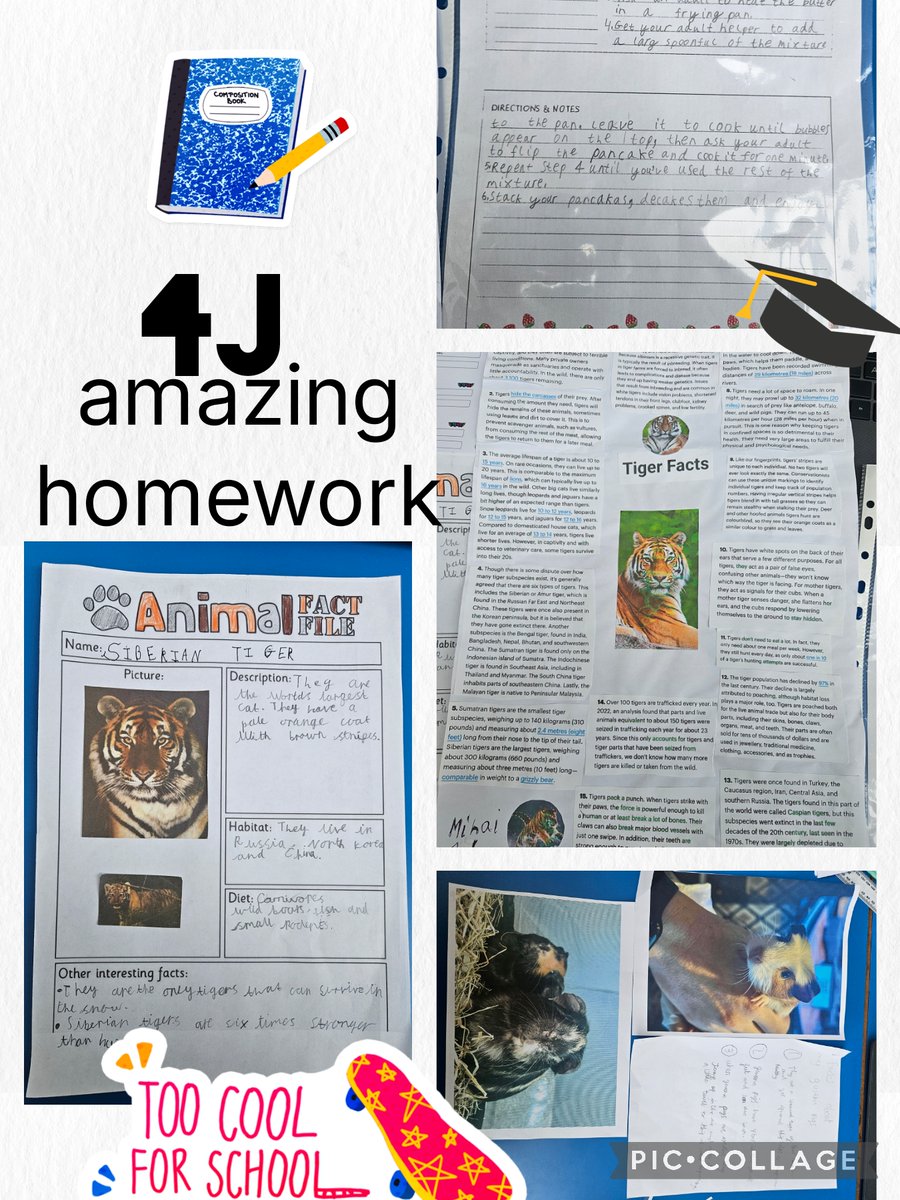 BelleValeSchool's tweet image. Feeling incredibly proud of Class 4J! ✨ The homework submissions in these first few weeks have been outstanding, demonstrating such thought and effort. It&apos;s wonderful to see such high standards from everyone. Keep shining, 4J! #ProudMoment #ClassroomCommunity #HomeworkWins