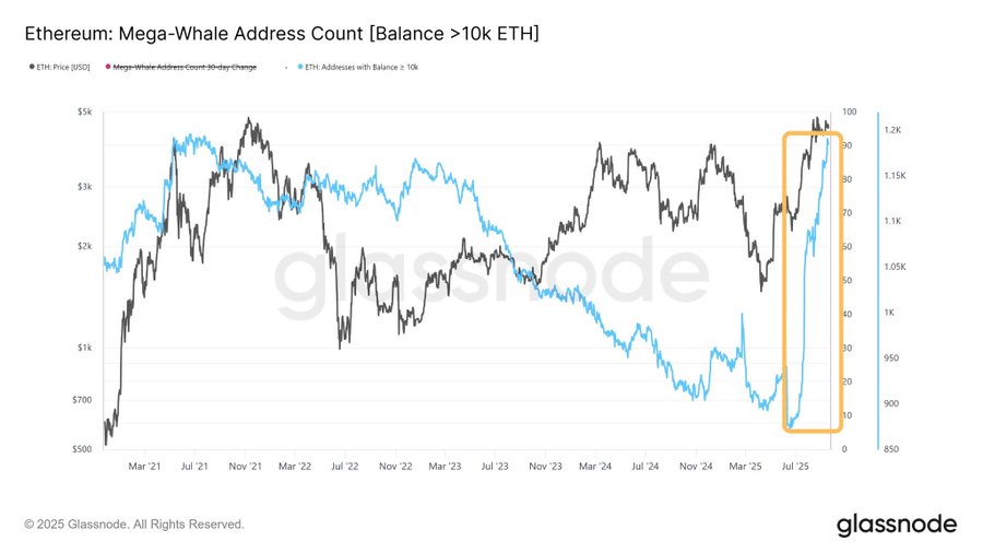 A line chart displaying Ethereum price in USD on the left y-axis and mega-whale address count with balances over 10,000 ETH on the right y-axis. The chart spans from March 2021 to August 2023, showing price fluctuations and address count changes. An orange box highlights a recent spike in mega-whale addresses. The chart includes a "glassnode" watermark.