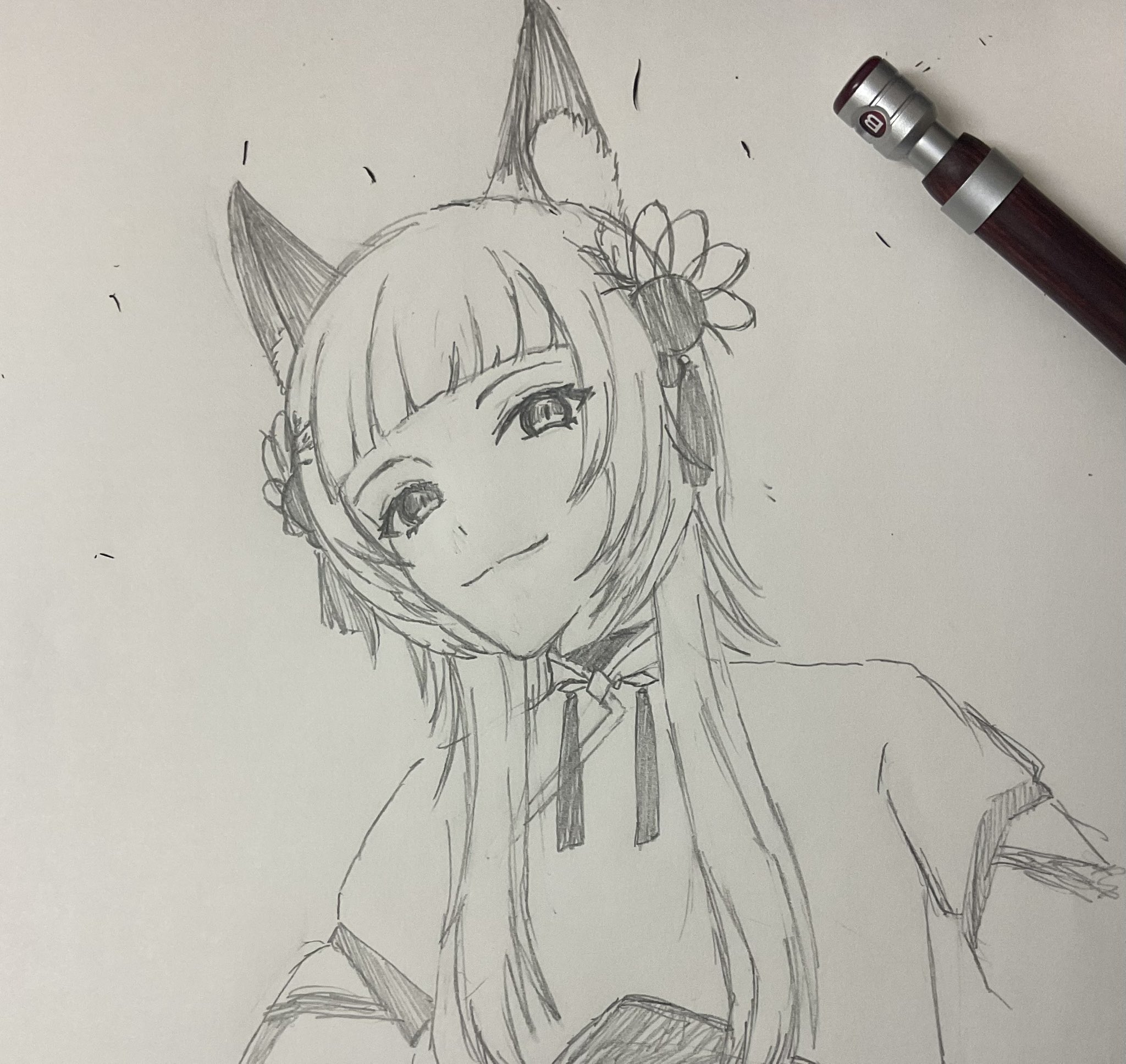 やまねこ♡　他の方はコメントお控えください=(^.^)= かめねこ【区間準急】 (@kameneko55) / X