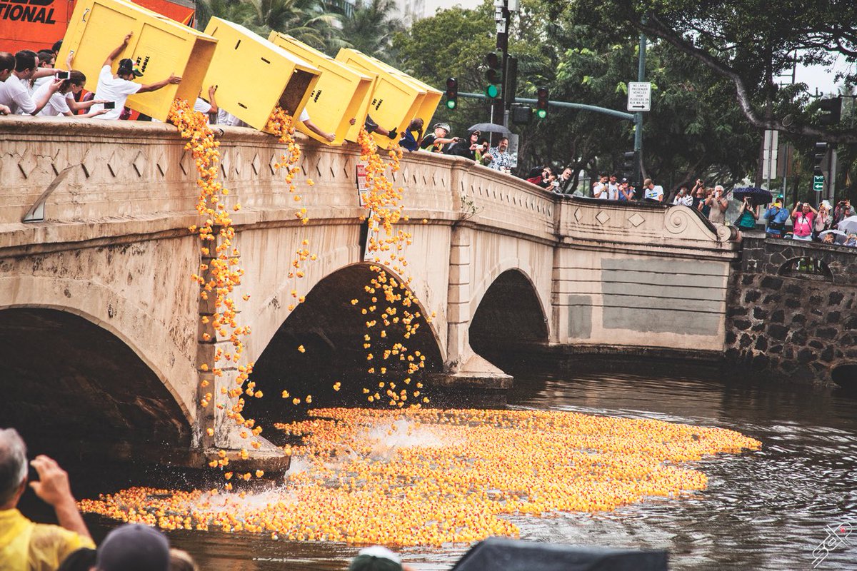Choose a rubber duckie and get ready to race at United Cerebral Palsy Association’s 36th annual Great Hawai’i Rubber Duckie Race today at 1:20 p.m. The event starts at the Ala Wai Promenade behind @hawaiiconventioncenter. See more events Sept. 17 issue. #midweekhawaii #hawaii