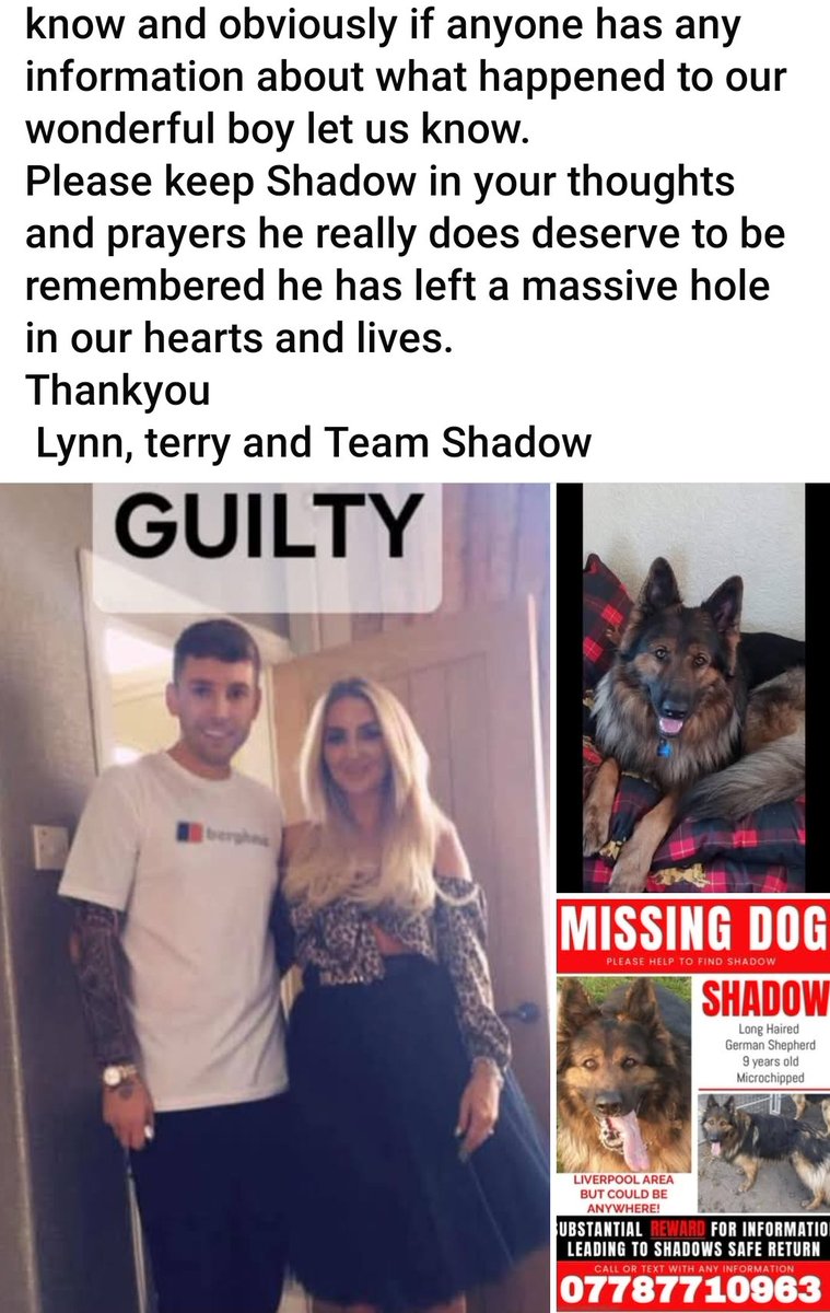 Shadow's story is just too sad. 💔