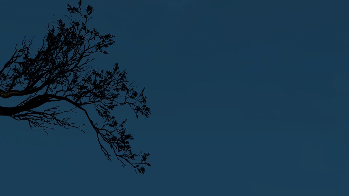BLaze47192's tweet photo. #TheWitcher
#TheWitcher3PhotoMode
#VirtualPhotography https://t.co/2xKS5mv291